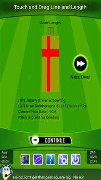 The Best Cricket Game Ever screenshot 4