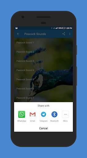 Peacock Sounds screenshot 5