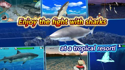 Wild Shark Fishing screenshot 6