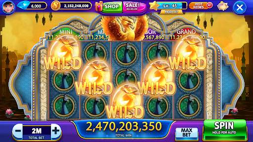 Double Fun Slots 2021：New Free Casino Games screenshot 1