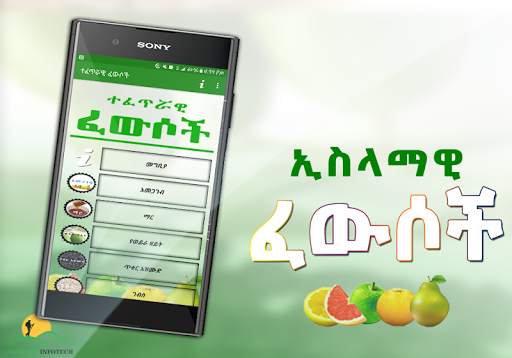 Islamic Traditional Medicine screenshot 2