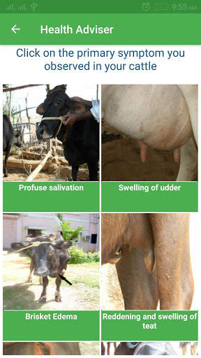 Cattle Expert System screenshot 4