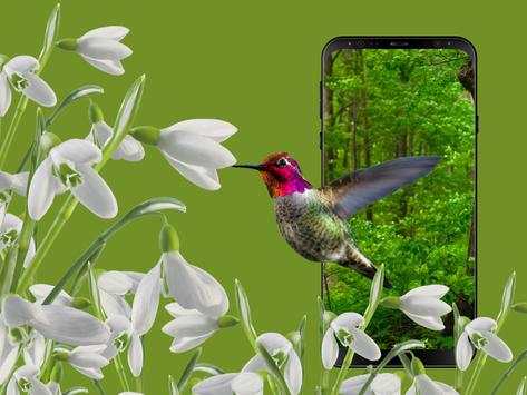 Realistic 3D Wallpaper: Best Live Wallpapers 3 تصوير الشاشة