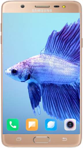Betta Fish Wallpaper screenshot 6