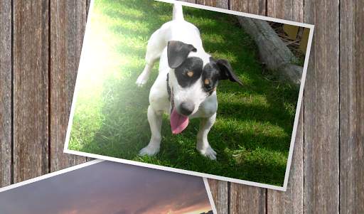Slideshow 500 FREE screenshot 16