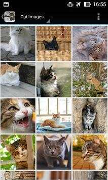 CatBG: Cat Wallpapers screenshot 2