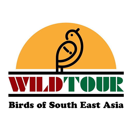 Vietnam Birds icon