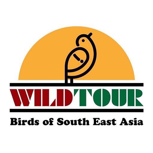 Vietnam Birds 3.3