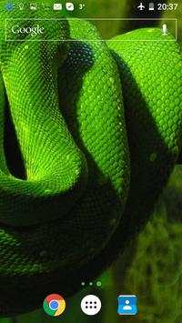 Snake Live Wallpaper screenshot 3