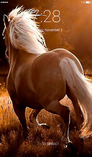 Horses Lock Screen 4K Wallpaper screenshot 5