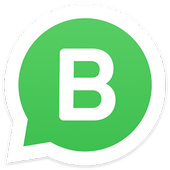 New WhatsApp Messenger icon