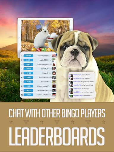 Boom Bingo: Live Bingo & Slots screenshot 17