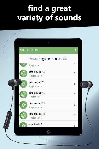 Birds ringtones, birds sound screenshot 6
