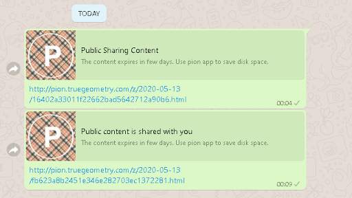 Pion Web Share photo, video, audio, pdf screenshot 8