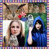 Owls Photo Collage logo