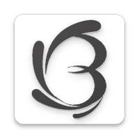 Brainstormer 17 icon
