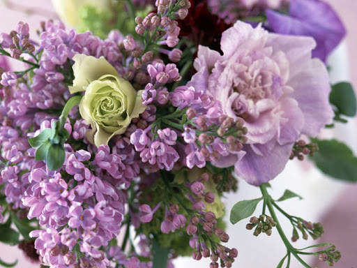 Lilac Wallpaper screenshot 6