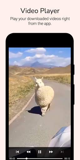 Video Downloader for Reddit screenshot 5
