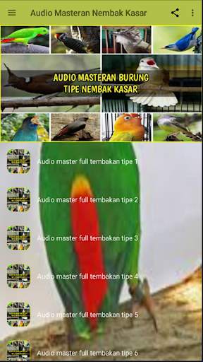 Audio Masteran Burung Tipe Nembak Kasar screenshot 2