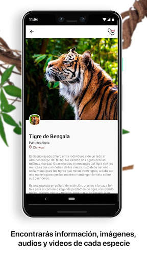 Africam Safari скриншот 4