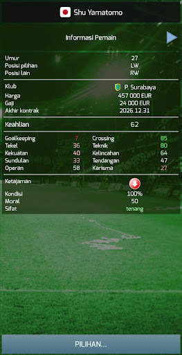 True Football 3 screenshot 3