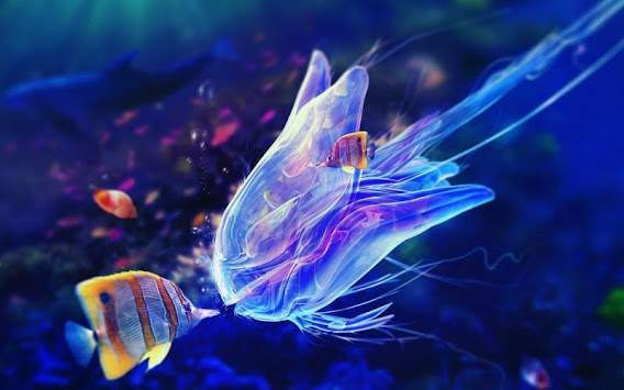 Aquarium HD Wallpaper screenshot 1