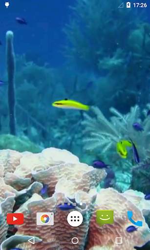 Marine Aquarium Live Wallpaper screenshot 3