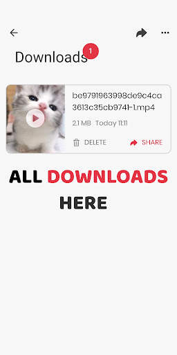 Video Downloader for Pinterest screenshot 4