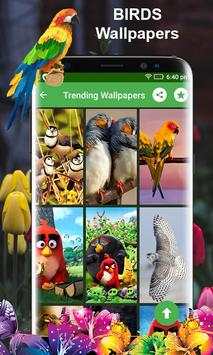 Birds HD Photo Frames and Live Wallpapers screenshot 8