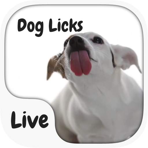 Dog Licking Keyboard  Animated 13.13