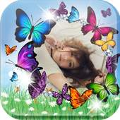 Colorful Butterfly Photo Frame 1.0