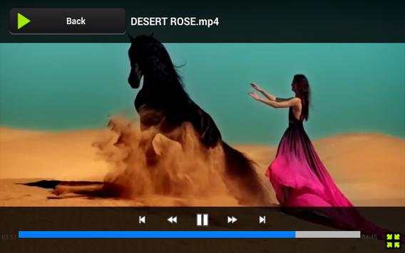 FLV Video Player screenshot 4