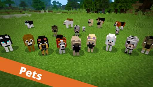 Bedrock Addons screenshot 2