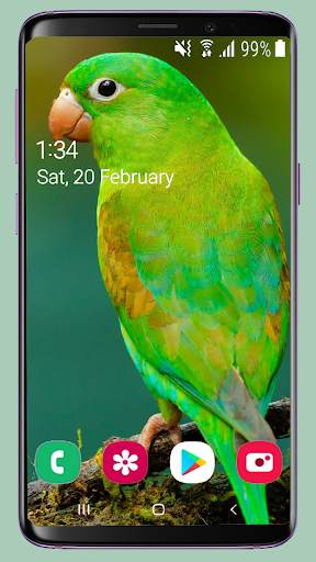 Bird Wallpaper New 4K screenshot 8