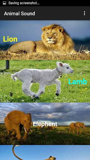 Animal Sounds screenshot 2