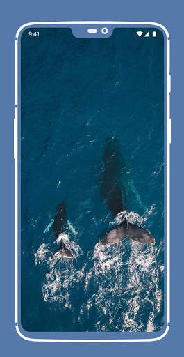 Blue Aesthetic Wallpapers screenshot 3