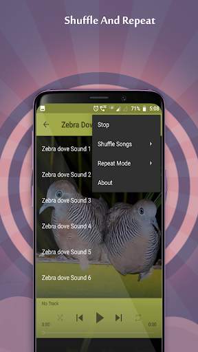 Zebra Dove Sounds screenshot 4