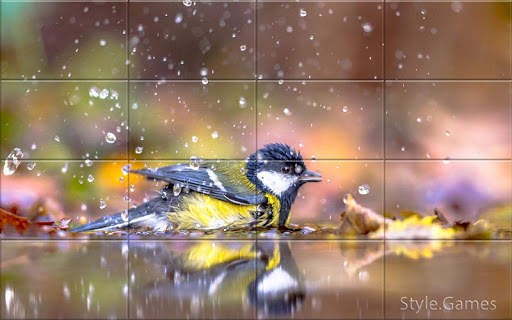 Sparrows Puzzle स्क्रीनशॉट 3