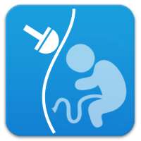 Fetal Brain Tutor 4us