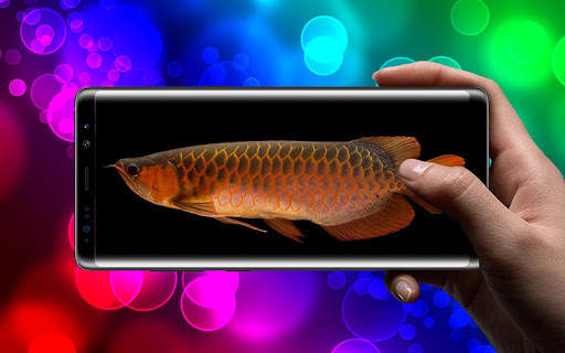 New Arowana 3D Live Wallpaper screenshot 4