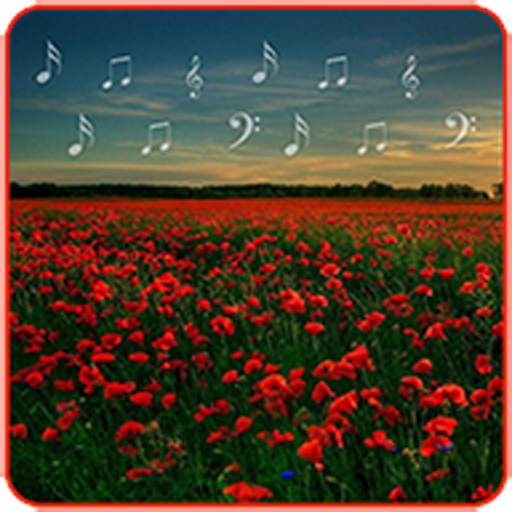 Mp3 Music Download With Garden Photos 1.0