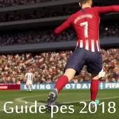 Guide Pes pro 2018 1.91