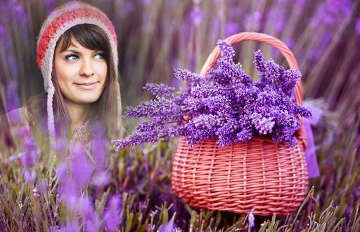 Lavender Photo Frames screenshot 3