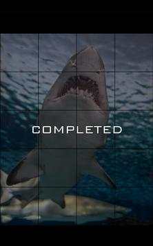 Hungry Shark Jigsaw Puzzle Game screenshot 3