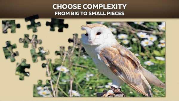 Birds jigsaw puzzle screenshot 1