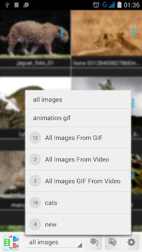 Video to GIF, JPG, PNG screenshot 3