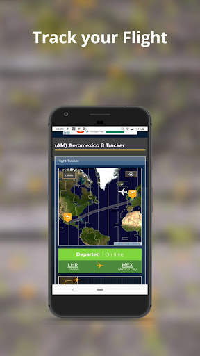 New York JFK Airport: Flight I screenshot 4