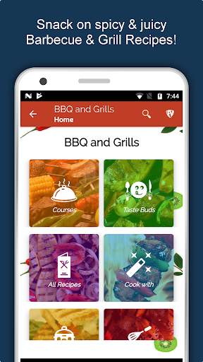 Barbecue Grill Recipes Offline screenshot 2