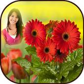 HD Photo Frames - Flowers 1.0
