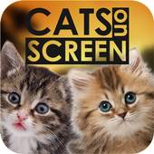 Cat Walks on Phone Screen: Funny Animation 1.2